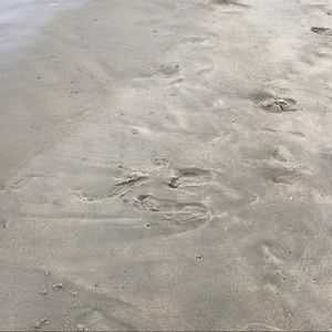 Meet your Posher, Margo